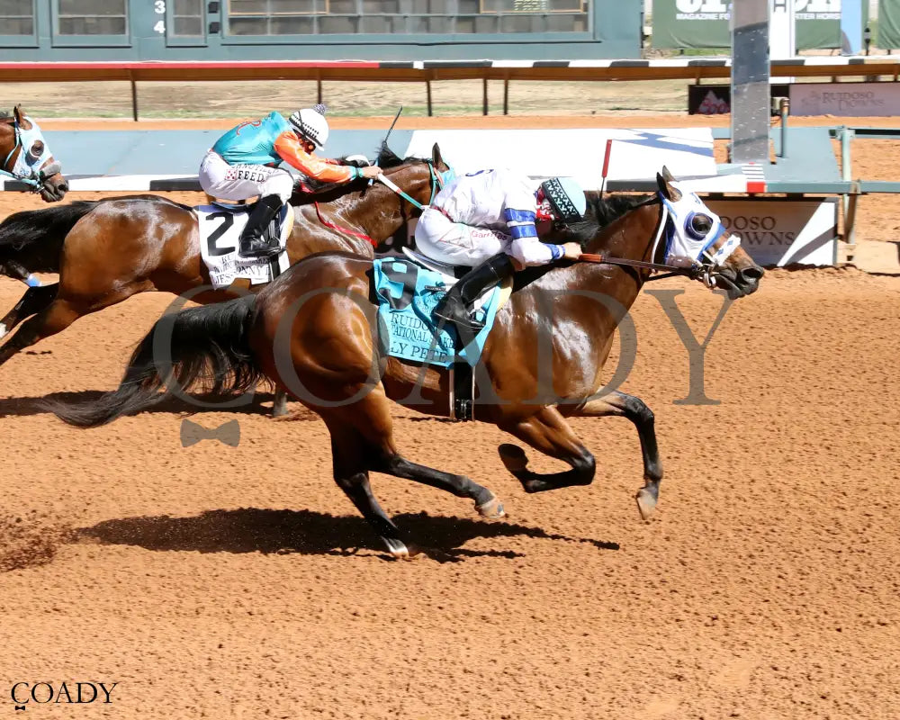 HOLY PETE - Ruidoso Quarter Horse Invitational Stakes - 06-07-25 - R08 - Ruidoso Downs - Finish 01 - Victoria Salazar