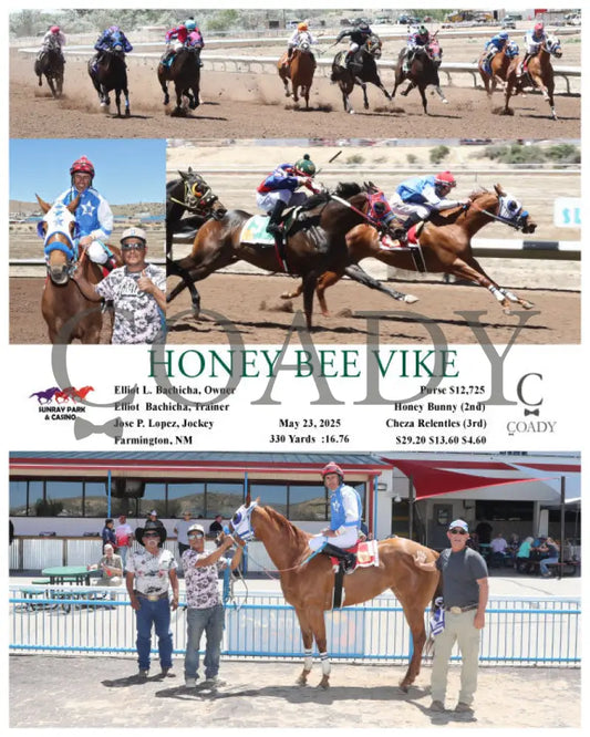 HONEY BEE VIKE - 05-23-25 - R02 - SRP SunRay Park