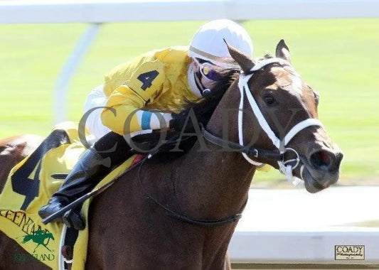 Honey Chile - The Mati Hari Keeneland