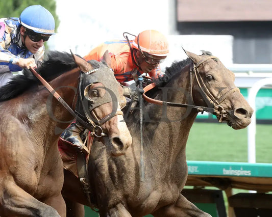 HONOR MARIE - The Isaac Murphy Marathon - 04-30-25 - R08 - CD - Finish 03 Churchill Downs