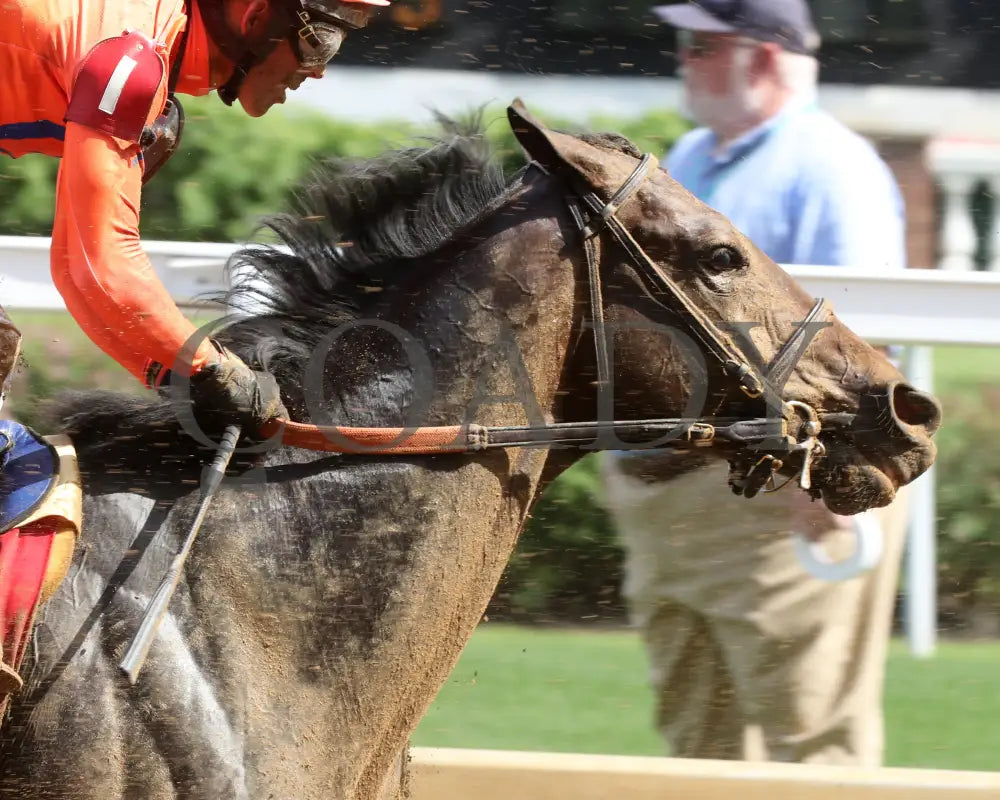 HONOR MARIE - The Isaac Murphy Marathon - 04-30-25 - R08 - CD - First Pass 01 Churchill Downs