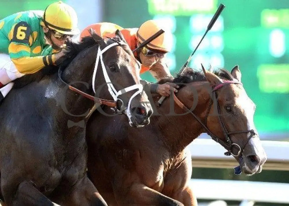 Hoofit - 100711 Tight Finish 2 Keeneland