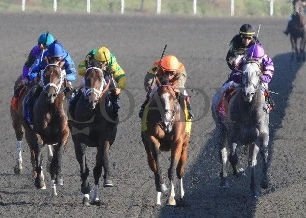 Hoofit - Proof 2 100711 Race 08 Keeneland