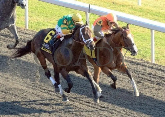 Hoofit - Proof 3 100711 Race 08 Keeneland