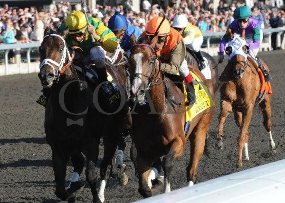 Hoofit - Proof 5 100711 Race 08 Keeneland
