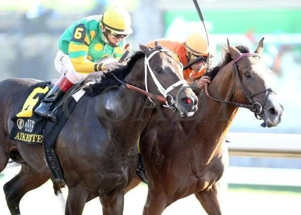 Hoofit - Proof 6 100711 Race 08 Keeneland