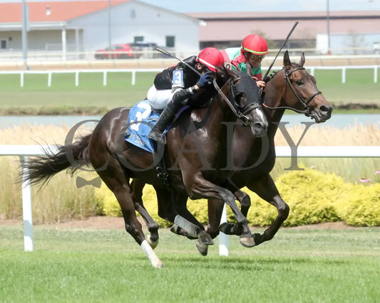 Hoosier Daddy Now - The Snack 16Th Running 07-06-24 R07 Ind Finish 02 Indiana Grand