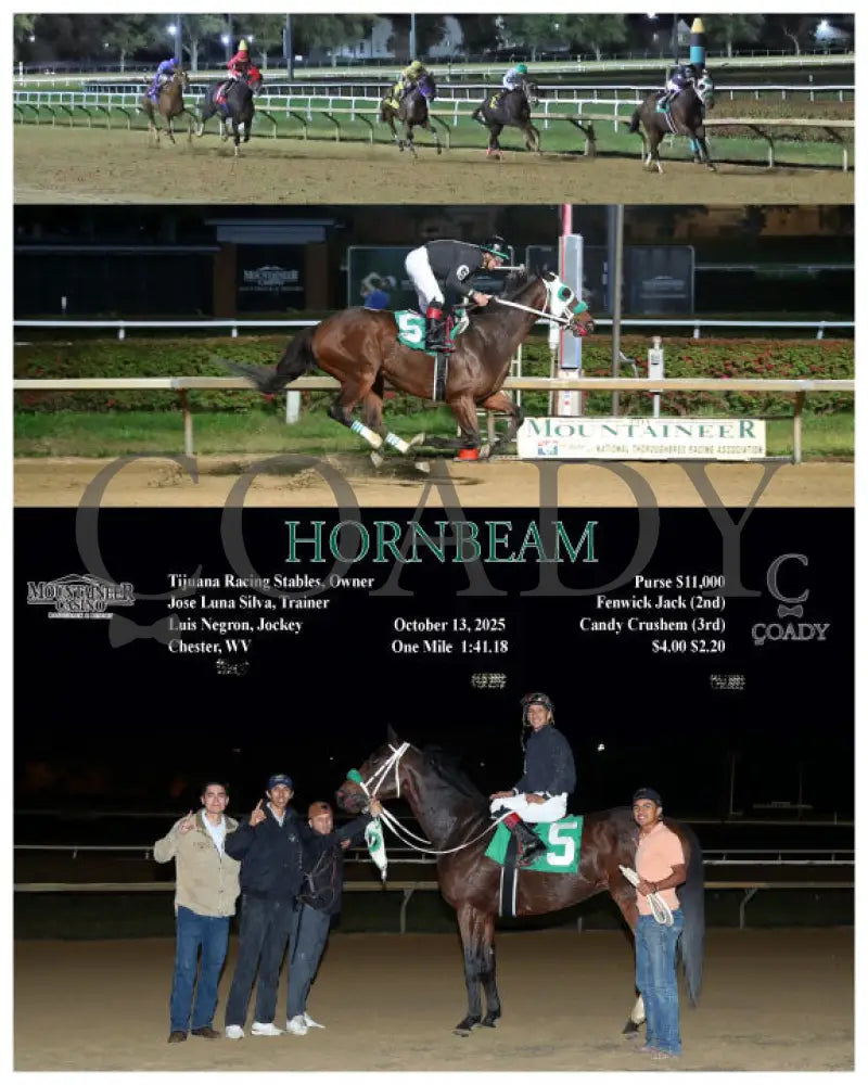 HORNBEAM - 10-13-25 - R02 - MNR Mountaineer Park