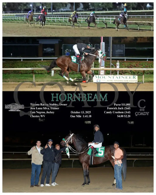 HORNBEAM - 10-13-25 - R02 - MNR Mountaineer Park