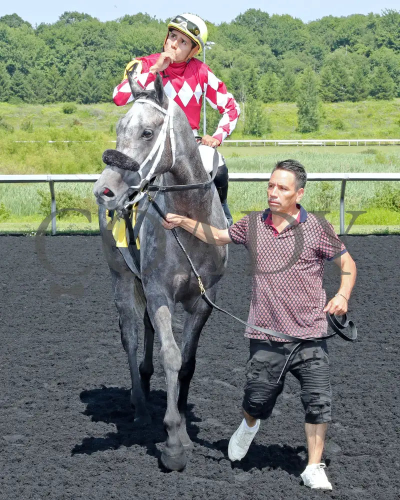 HORSEPOWER - The Karl Boyes Stakes - 19th Running - 07-04-25 - R07 - PID - Comeback Presque Isle Downs