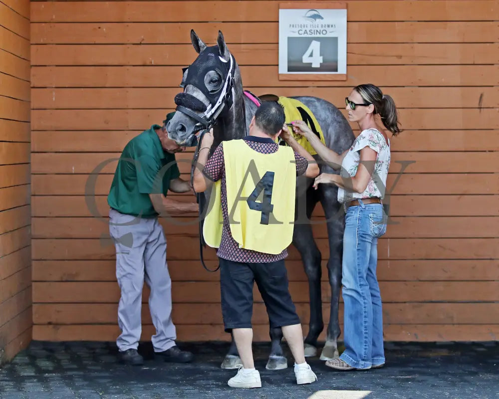 HORSEPOWER - The Karl Boyes Stakes - 19th Running - 07-04-25 - R07 - PID - Paddock 03 Presque Isle Downs