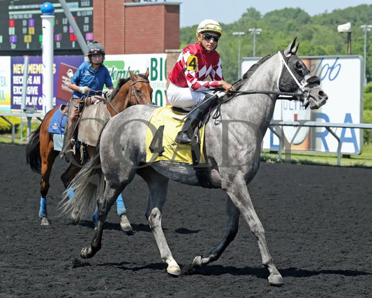 HORSEPOWER - The Karl Boyes Stakes - 19th Running - 07-04-25 - R07 - PID - Post Parade Presque Isle Downs