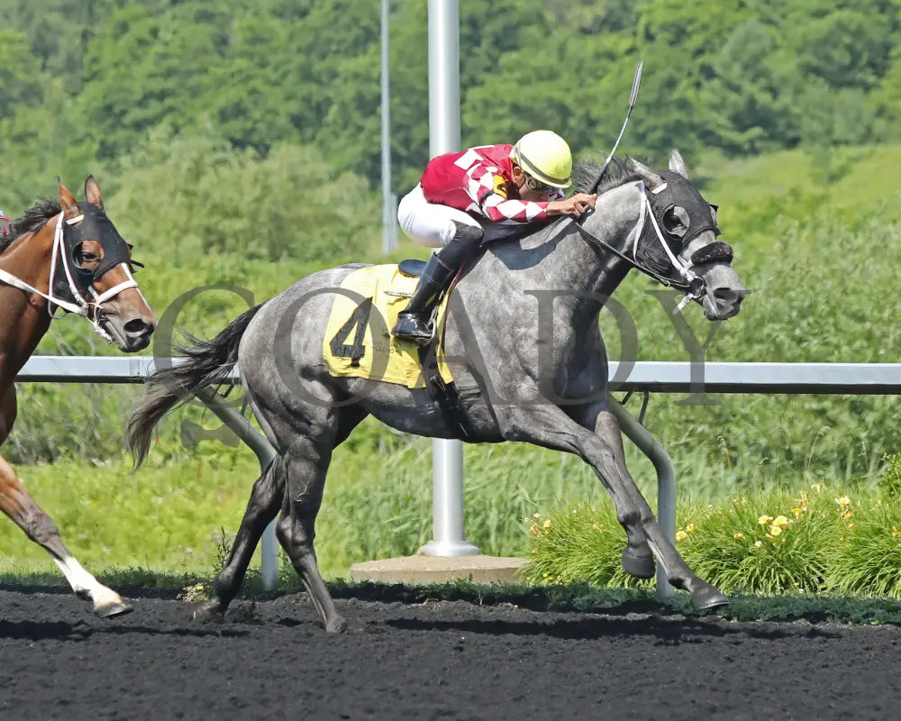 HORSEPOWER - The Karl Boyes Stakes - 19th Running - 07-04-25 - R07 - PID - Tight Finish 02 Presque Isle Downs