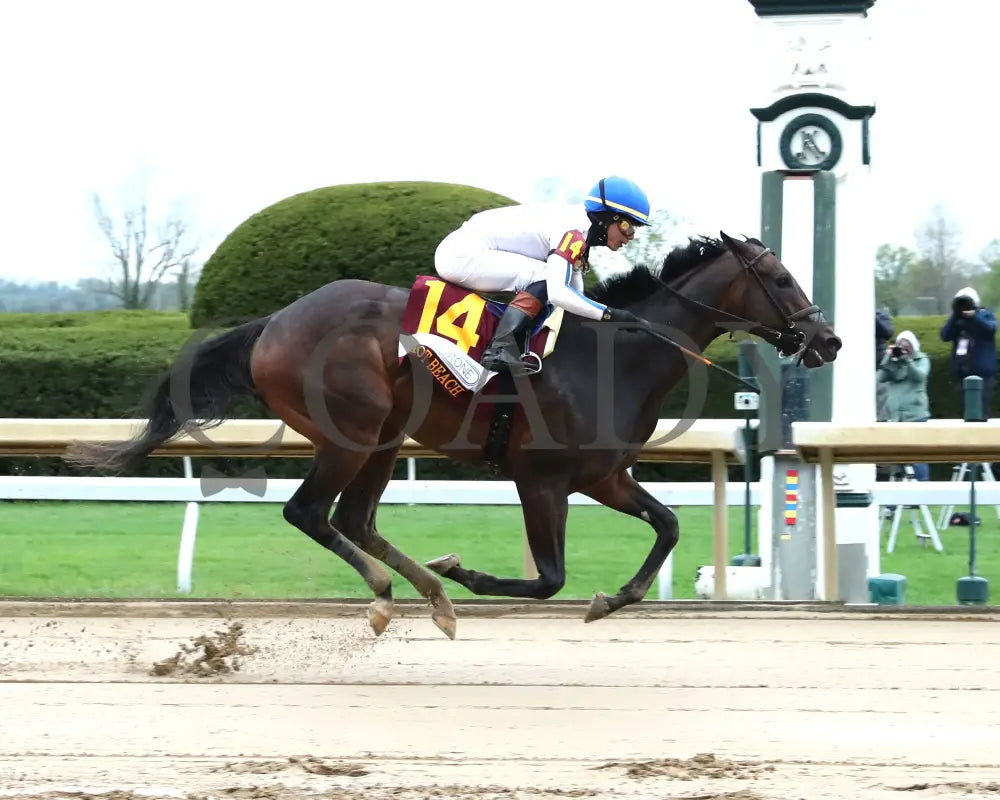 Hot Beach - Fanduel Limestone 5Th Running 04 - 12 - 24 R07 Kee Finish 01 Keeneland