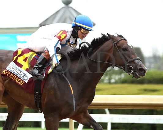Hot Beach - Fanduel Limestone 5Th Running 04 - 12 - 24 R07 Kee Finish 02 Keeneland