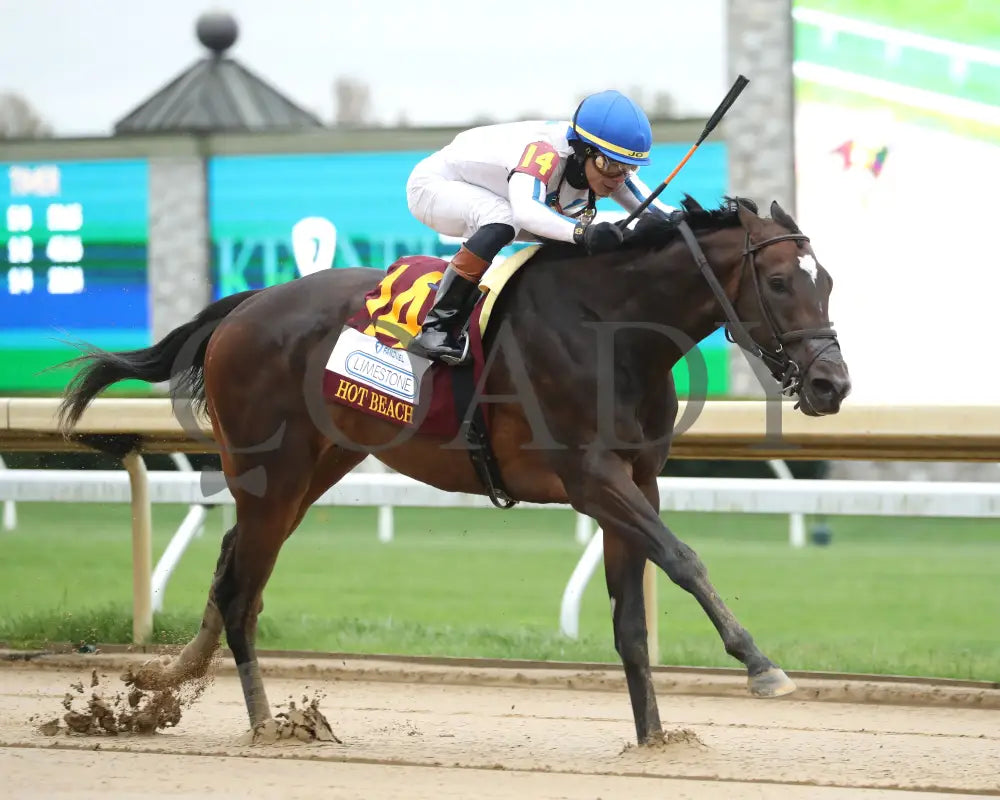 Hot Beach - Fanduel Limestone 5Th Running 04 - 12 - 24 R07 Kee Finish 03 Keeneland