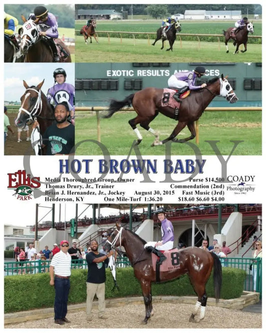 Hot Brown Baby - 083015 Race 05 Elp Ellis Park