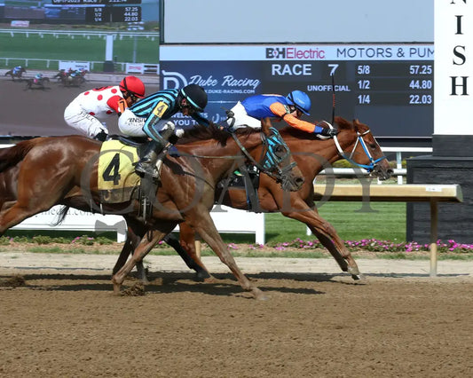 HOT MIDDLES - Hoosier Breeders Sophomore Handicap - 17th Running - 06-11-25 - R07 - Horseshoe Indiana - Finish 01