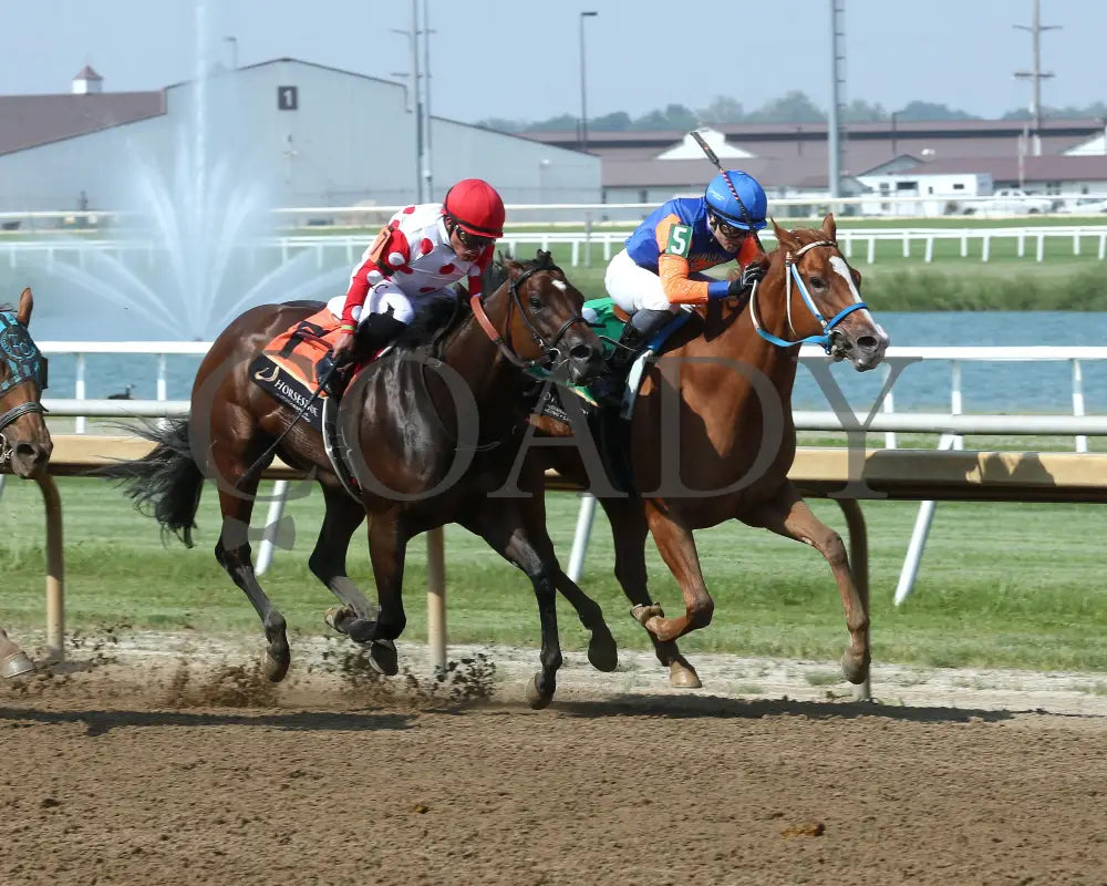 HOT MIDDLES - Hoosier Breeders Sophomore Handicap - 17th Running - 06-11-25 - R07 - Horseshoe Indiana - Finish 02