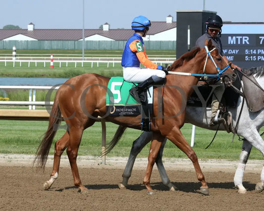 HOT MIDDLES - Hoosier Breeders Sophomore Handicap - 17th Running - 06-11-25 - R07 - Horseshoe Indiana - Post Parade 01