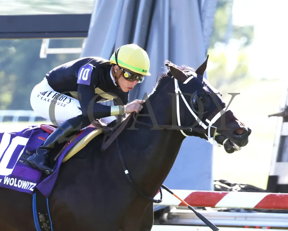 Howard Wolowitz - The Aristocrat Franklin-Simpson Stakes G1 09-07-24 R09 Kd Finish 03 Kentucky Downs