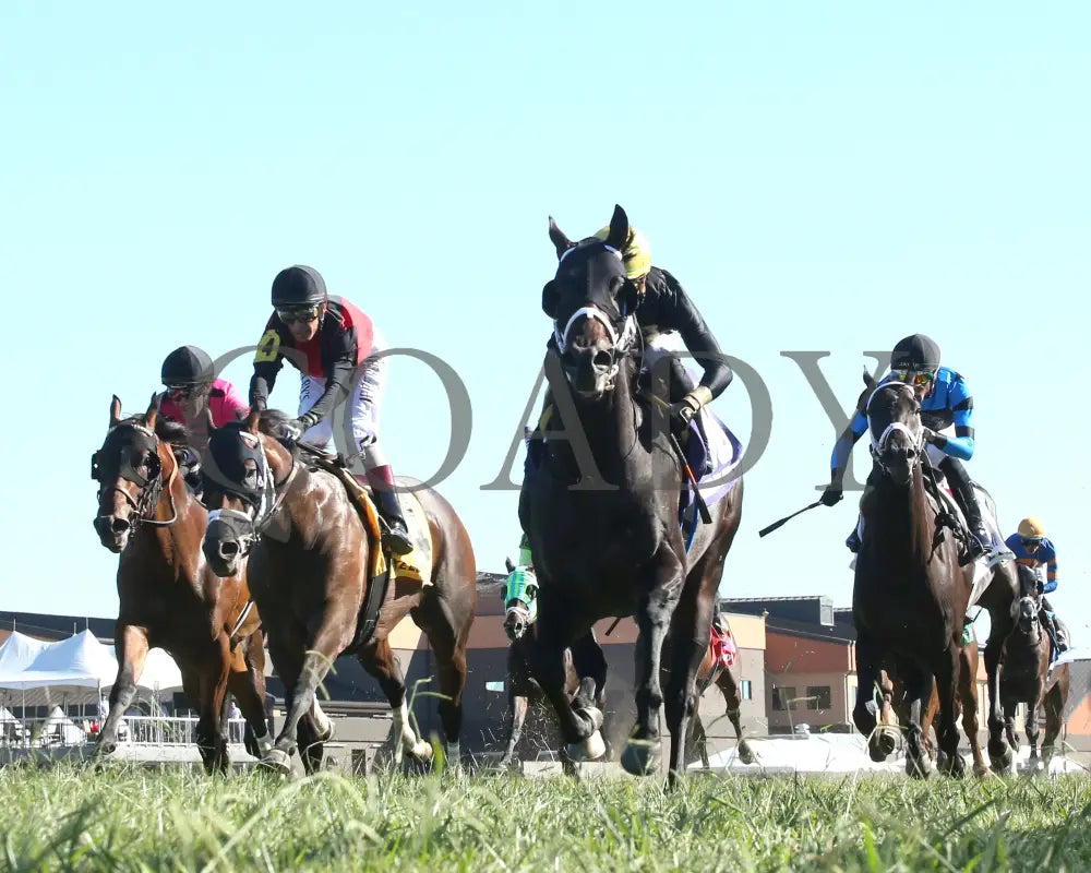 Howard Wolowitz - The Aristocrat Franklin-Simpson Stakes G1 09-07-24 R09 Kd Under Rail 01 Kentucky