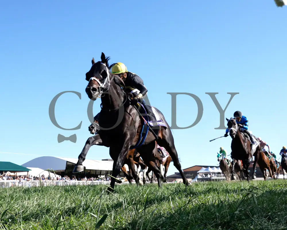Howard Wolowitz - The Aristocrat Franklin-Simpson Stakes G1 09-07-24 R09 Kd Under Rail 02 Kentucky