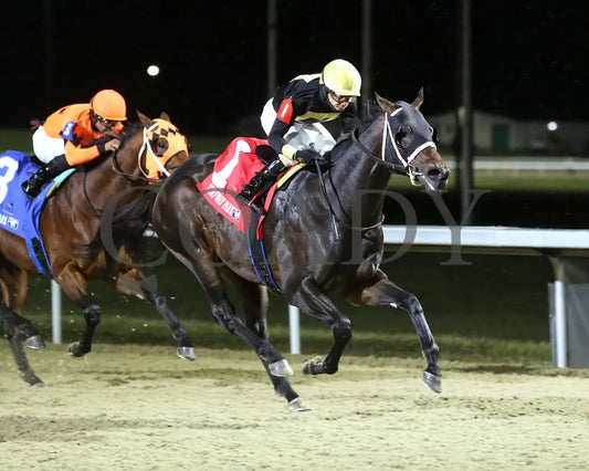 Howard Wolowitz - The Holiday Cheer 29Th Running 12-14-24 R07 Tp Finish 02 Turfway Park