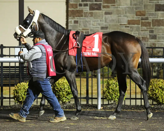 Howard Wolowitz - The Holiday Cheer 29Th Running 12-14-24 R07 Tp Paddock 01 Turfway Park