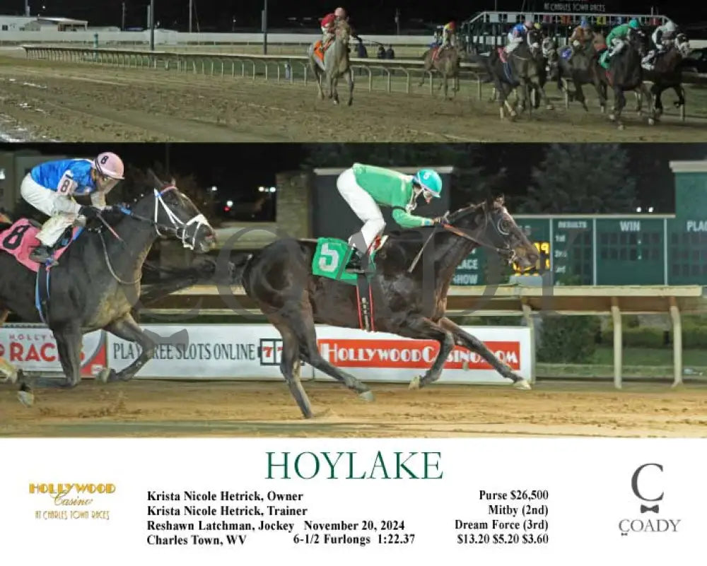 Hoylake - 11-20-24 R05 Ct Hollywood Casino At Charles Town Races