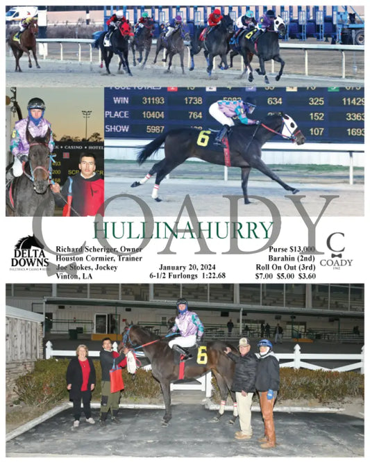 Hullinahurry - 01-20-24 R02 Ded Delta Downs