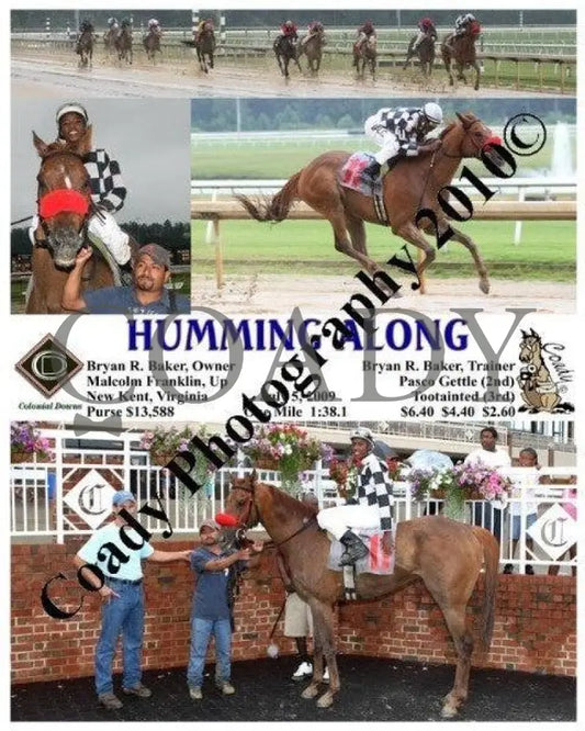 Humming Along - 7 5 2009 Colonial Downs