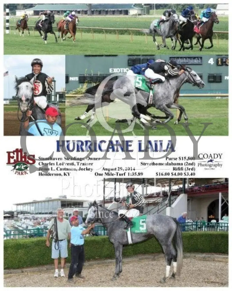 Hurricane Laila - 082914 Race 07 Elp Ellis Park