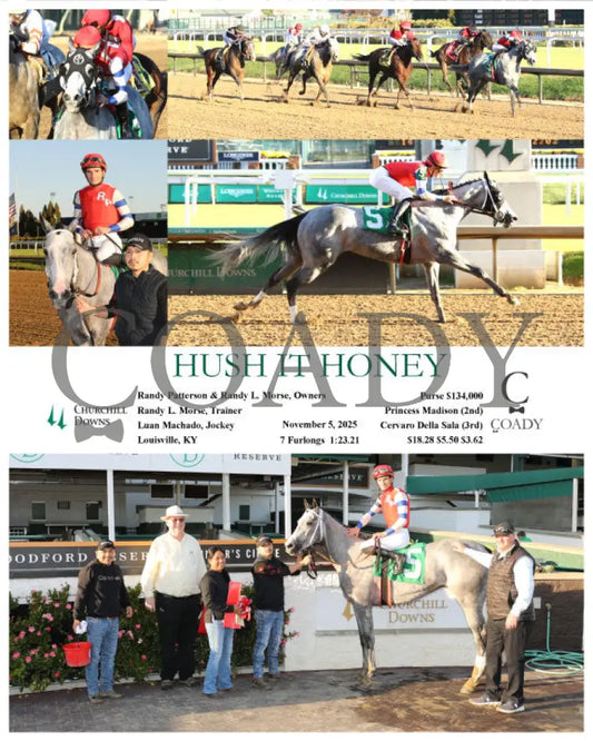 HUSH IT HONEY - 110525 - Race 08 - CD - Coady Media - Kurtis Coady Photography