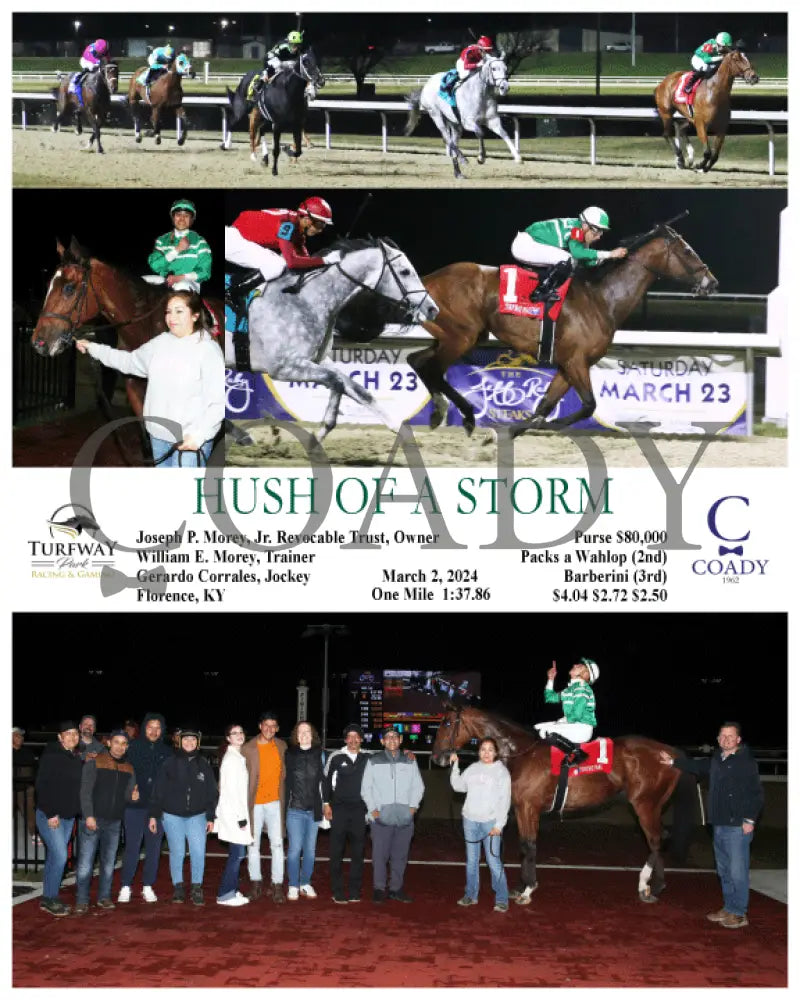 Hush Of A Storm - 03-02-24 R07 Tp Turfway Park