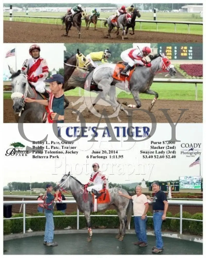 I Cee’s A Tiger - 062014 Race 05 Btp Belterra Park
