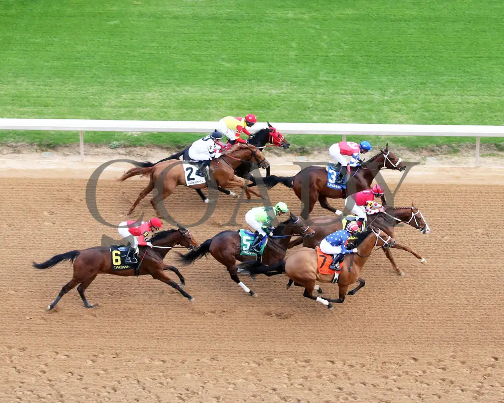 Ice Cold - Year’s End Stakes 2Nd Running 12-31-23 R09 Op Aerial First Pass 02 Oaklawn Park