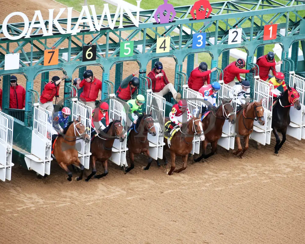 Ice Cold - Year’s End Stakes 2Nd Running 12-31-23 R09 Op Aerial Start 01 Oaklawn Park
