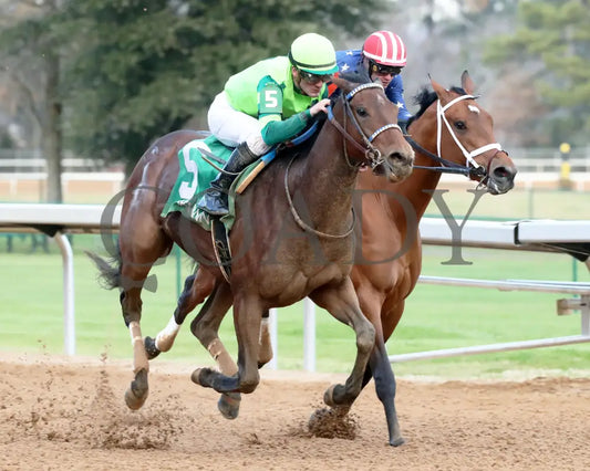 Ice Cold - Year’s End Stakes 2Nd Running 12-31-23 R09 Op Finish 02 Oaklawn Park