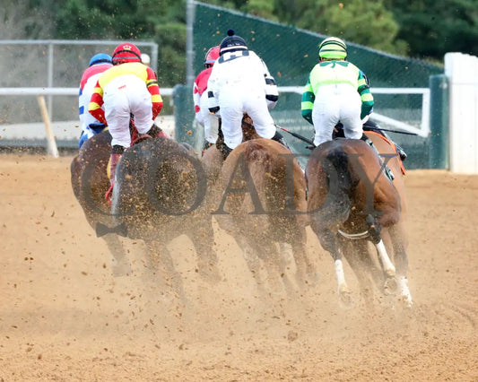 Ice Cold - Year’s End Stakes 2Nd Running 12-31-23 R09 Op First Turn 01 Oaklawn Park