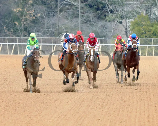 Ice Cold - Year’s End Stakes 2Nd Running 12-31-23 R09 Op Head On 01 Oaklawn Park