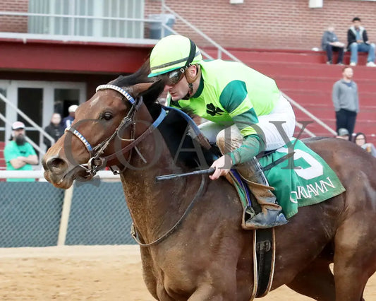Ice Cold - Year’s End Stakes 2Nd Running 12-31-23 R09 Op Inside Finish 01 Oaklawn Park