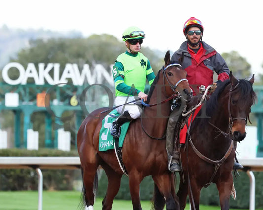 Ice Cold - Year’s End Stakes 2Nd Running 12-31-23 R09 Op Post Parade 01 Oaklawn Park