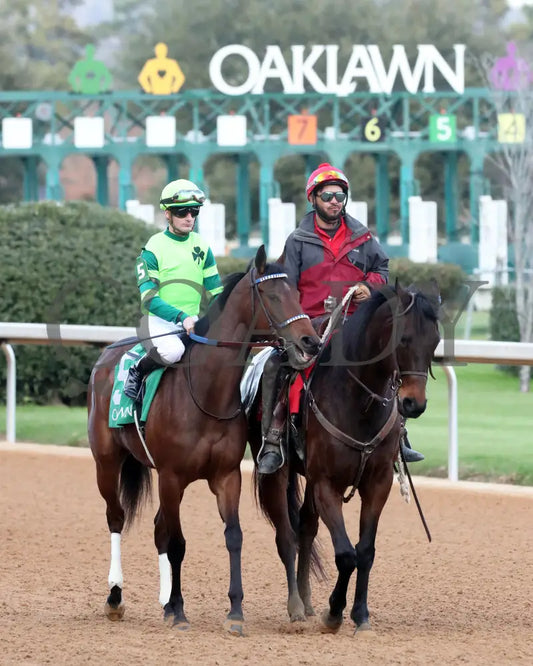 Ice Cold - Year’s End Stakes 2Nd Running 12-31-23 R09 Op Post Parade 02 Oaklawn Park