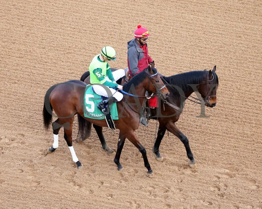 Ice Cold - Year’s End Stakes 2Nd Running 12-31-23 R09 Op Post Parade 04 Oaklawn Park