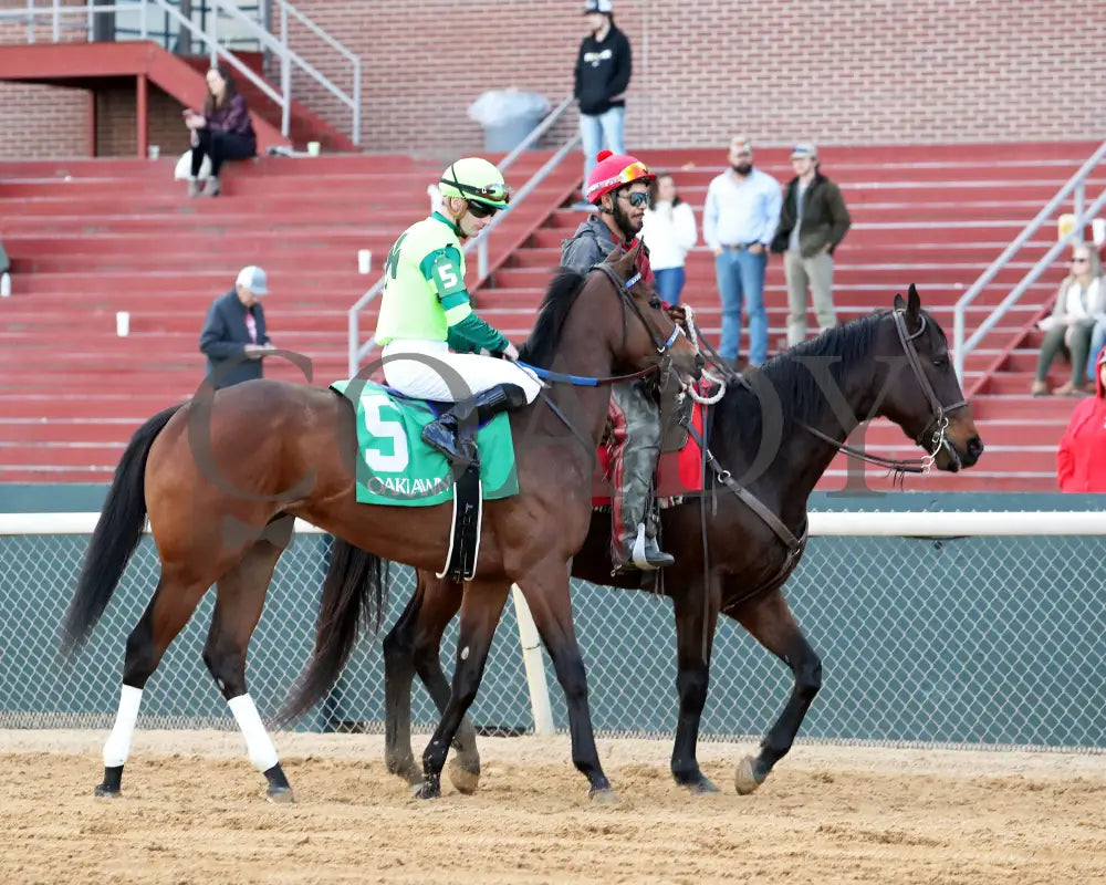 Ice Cold - Year’s End Stakes 2Nd Running 12-31-23 R09 Op Post Parade 05 Oaklawn Park