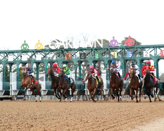 Ice Cold - Year’s End Stakes 2Nd Running 12-31-23 R09 Op Start 04 Oaklawn Park