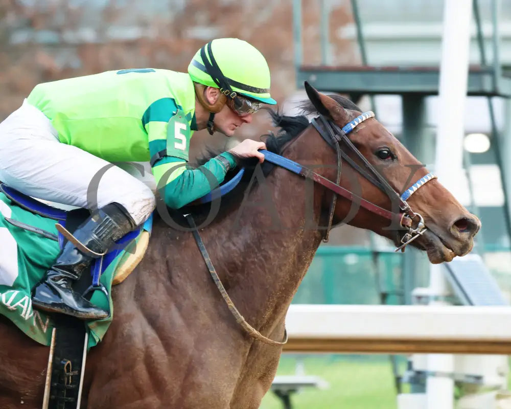 Ice Cold - Year’s End Stakes 2Nd Running 12-31-23 R09 Op Tight Finish 01 Oaklawn Park
