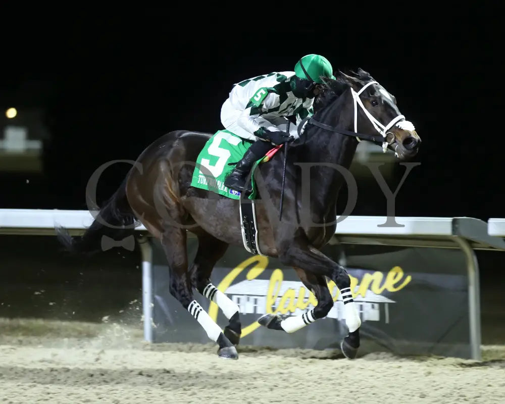 Icicles - The Likely Exchange 26Th Running 01-13-24 R08 Tp Finish 02 Turfway Park