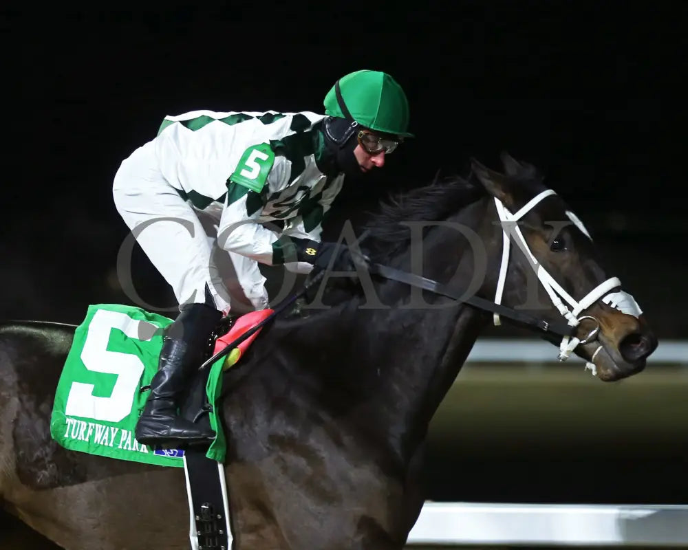 Icicles - The Likely Exchange 26Th Running 01-13-24 R08 Tp Finish 03 Turfway Park
